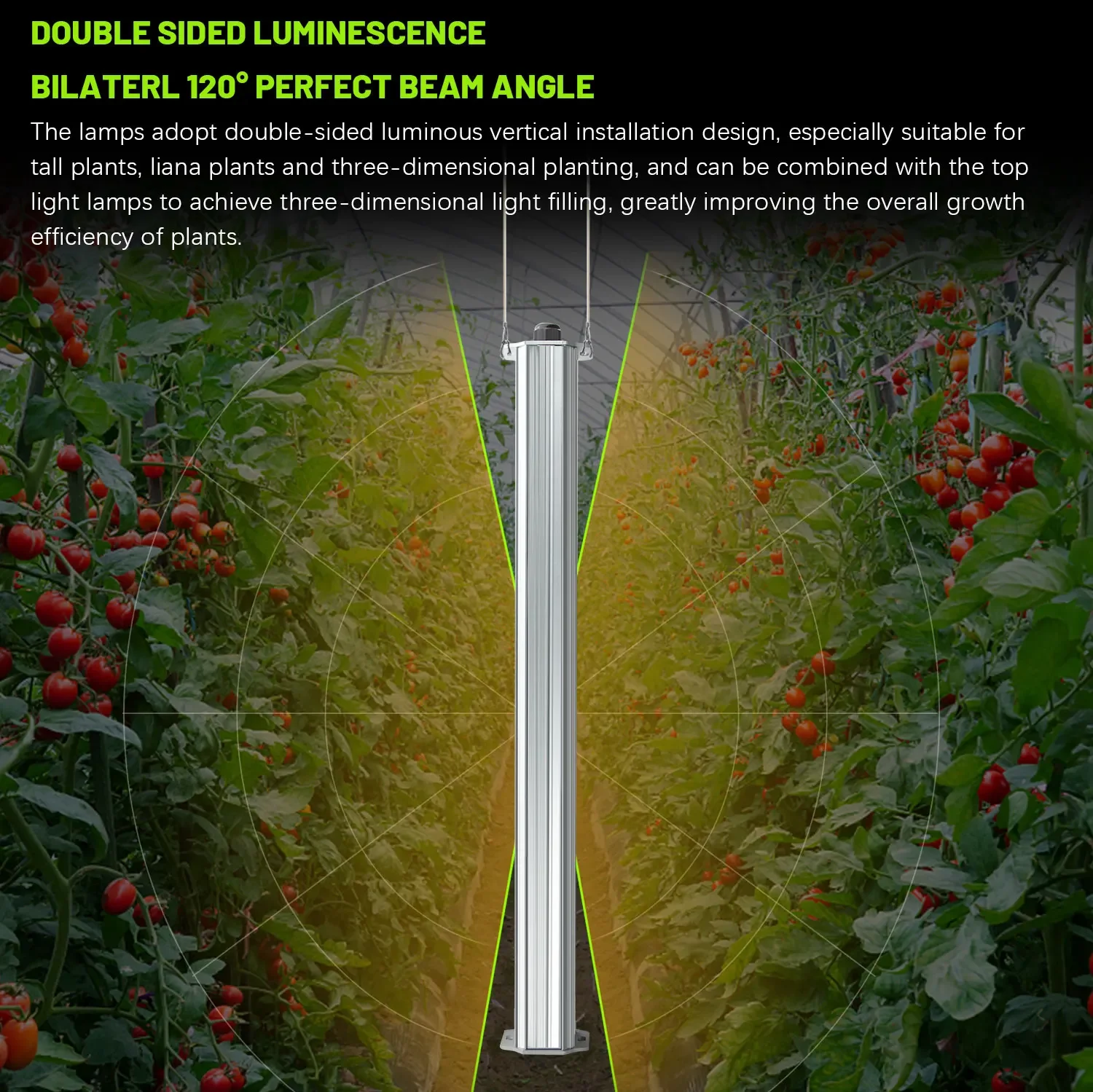 List Of Agriculture Farming - Best ETL Listed Plant Green Wall