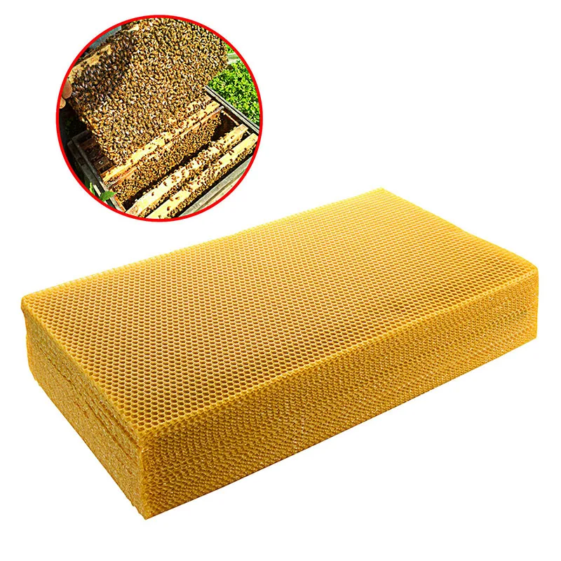 Beehive Frame Wax - 30pcs/pack Bee Comb Foundation Honeycomb Beeswax