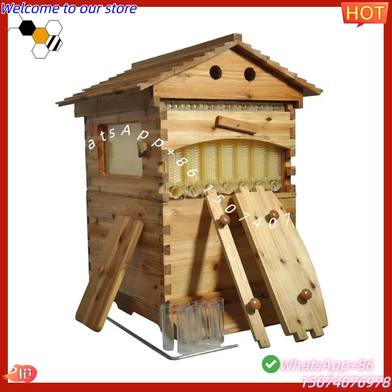 2026 Chinese Wax-Coated China  - Beehive Frame Wax review and price