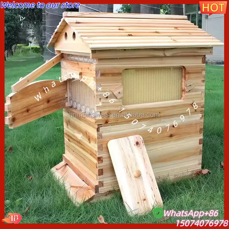 2026 Chinese Wax-Coated China  - Beehive Frame Wax review and price