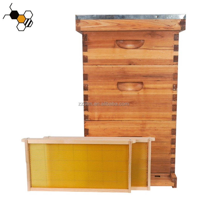 High-Quality 30-Frame Bee Hive - Beehive Frame Wax review and price