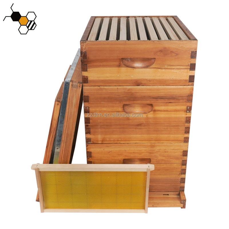 High-Quality 30-Frame Bee Hive - Beehive Frame Wax review and price