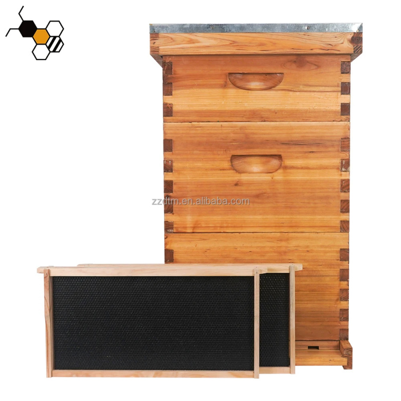 High-Quality 30-Frame Bee Hive - Beehive Frame Wax review and price