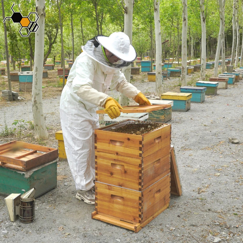 High-Quality 30-Frame Bee Hive - Beehive Frame Wax review and price