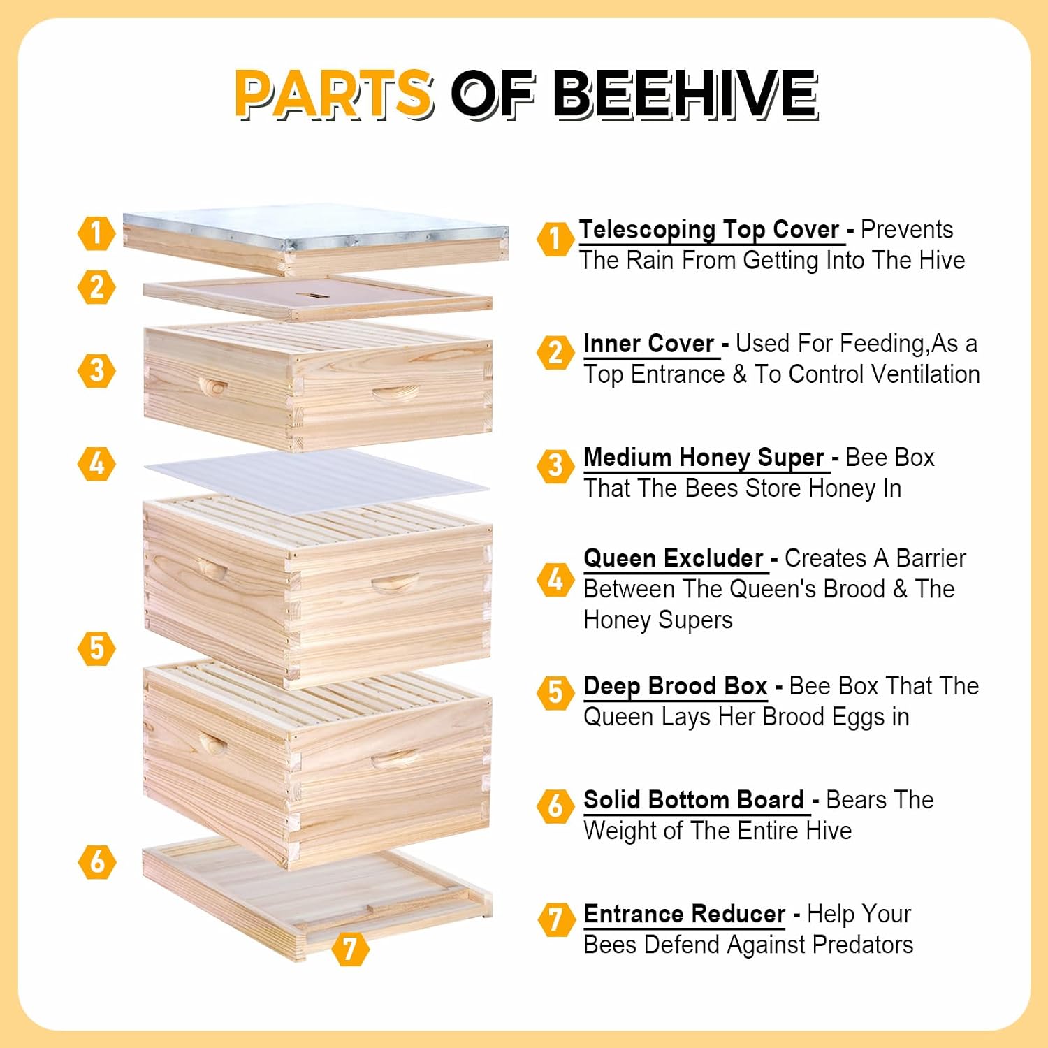 10-Frame Complete Bee Hives an - Beehive Frame Wax review and price