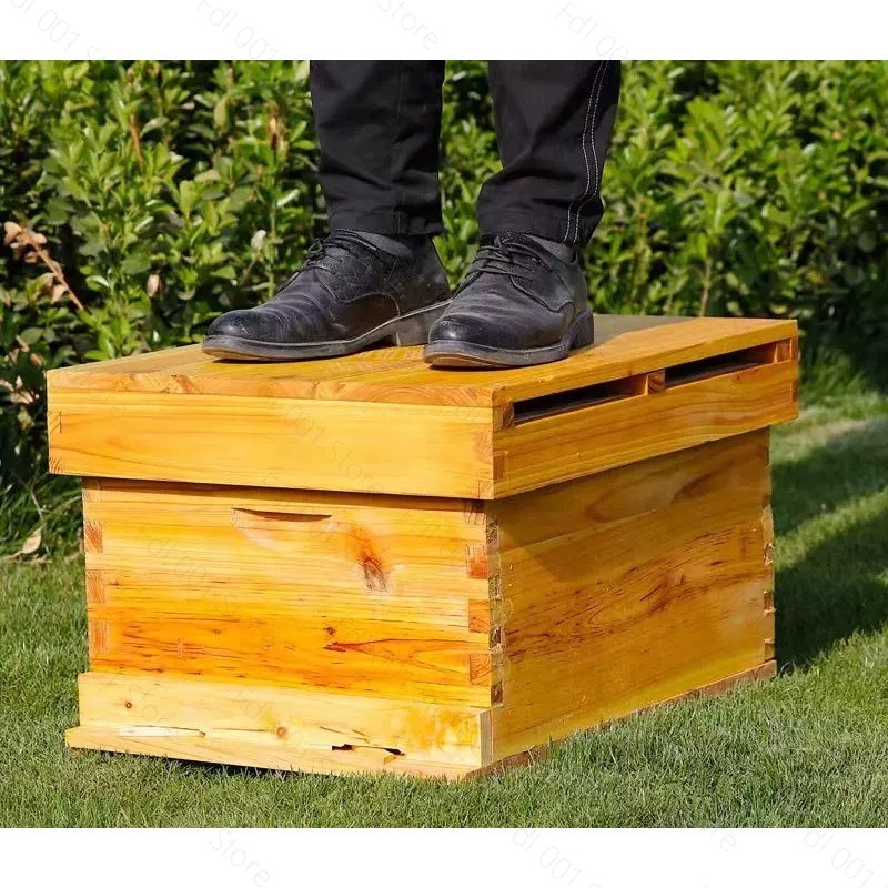 Complete Beehive Kit 10 Frames - Beehive Frame Wax review and price
