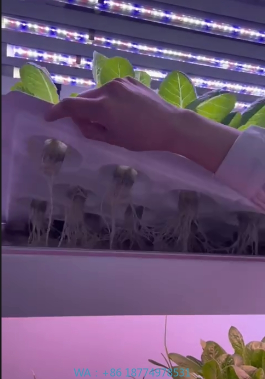f Greenhouse Agricultural Equi - Agriculture Farming Equipments review and price