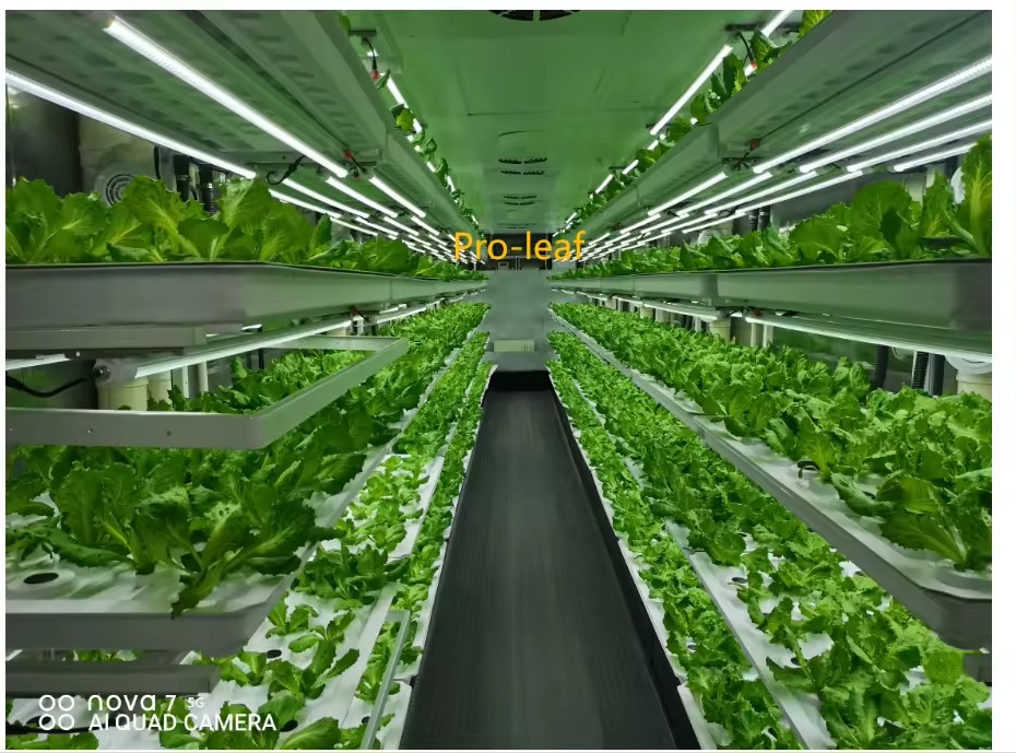 f Greenhouse Agricultural Equi - Agriculture Farming Equipments review and price