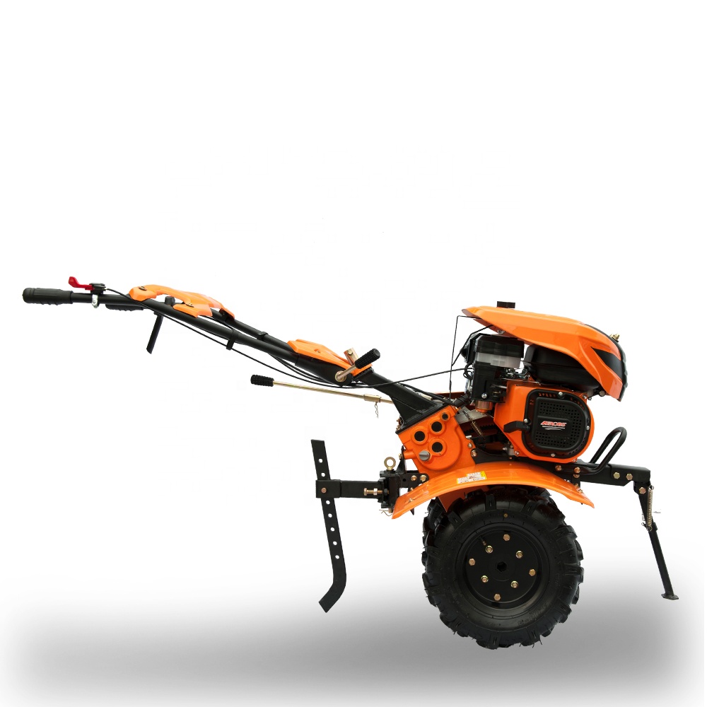 BSG800A-3 Farm Agriculture Min - List Of Agriculture Farming review and price