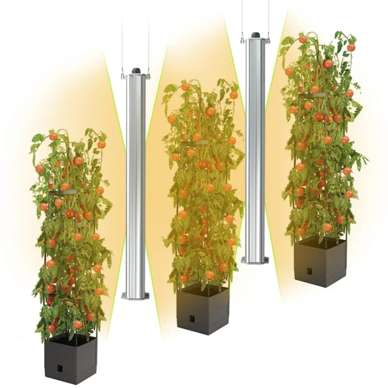 Best ETL Listed Plant Green Wa - List Of Agriculture Farming review and price