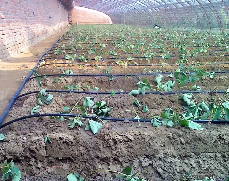 1HA Irrigation Kit Agricultura - Agriculture Farming Systems review and price