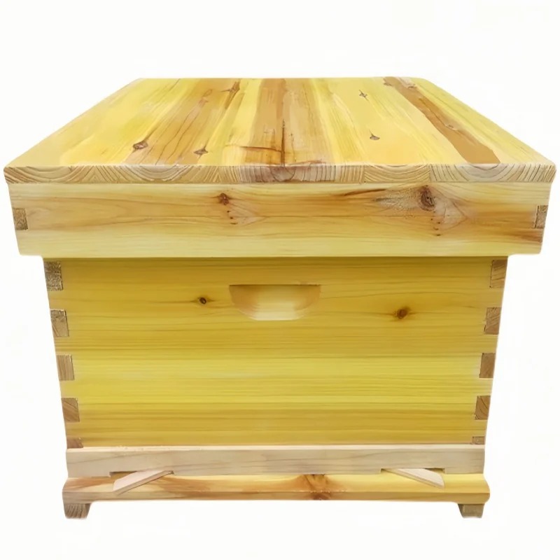 Bee Hive in Bee Box, A Full Se - Beehive Frame Wax review and price