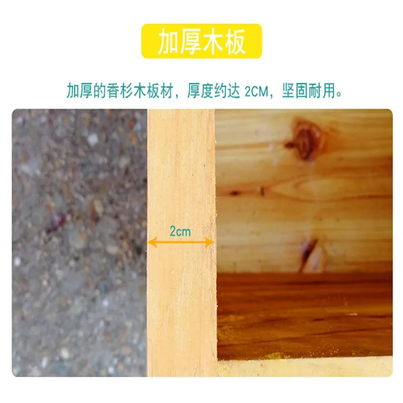 Bee Hive in Bee Box, A Full Se - Beehive Frame Wax review and price