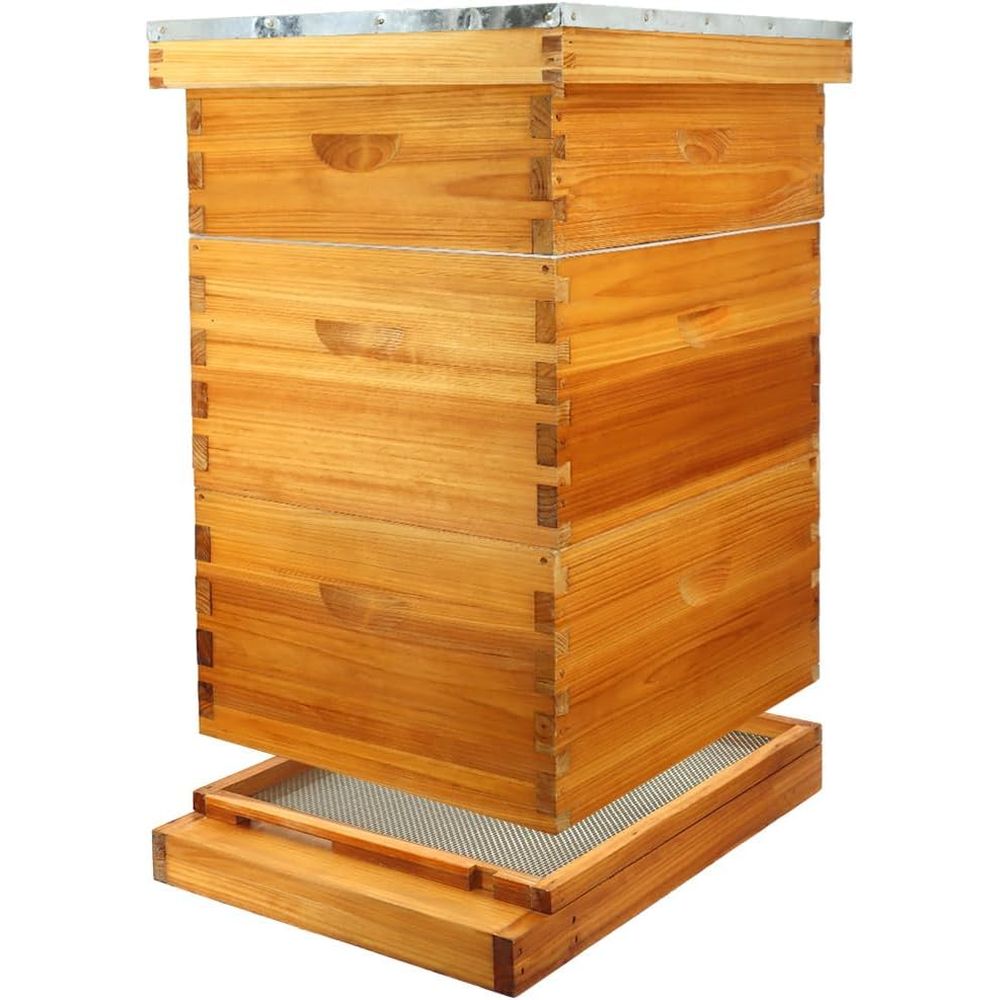 10-Frame Beehive Kit with Waxe - Beehive Frame Wax review and price