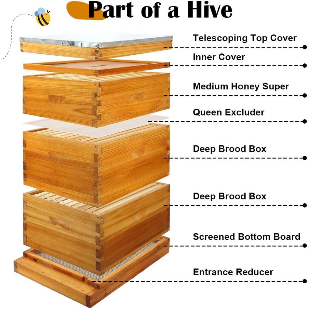 10-Frame Beehive Kit with Waxe - Beehive Frame Wax review and price