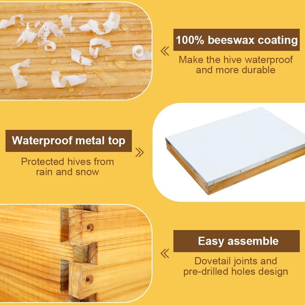 10-Frame Beehive Kit with Waxe - Beehive Frame Wax review and price