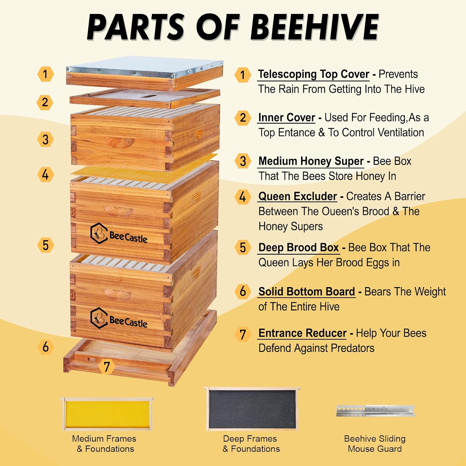 10 Frame Langstroth Bee Hive C - Beehive Frame Wax review and price