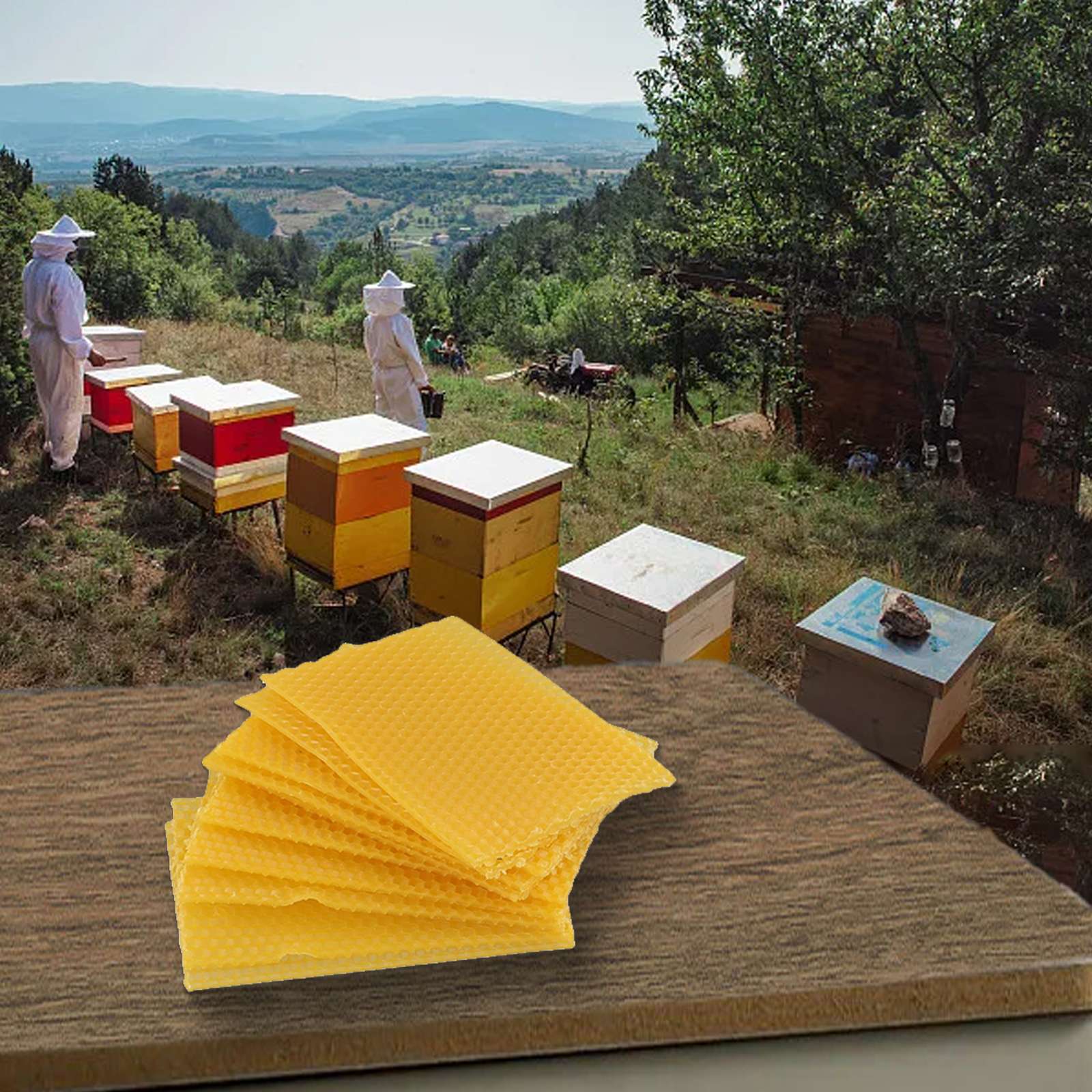 Bee Hive Wax Frames 9cm524x Eq - Beehive Frame Wax review and price