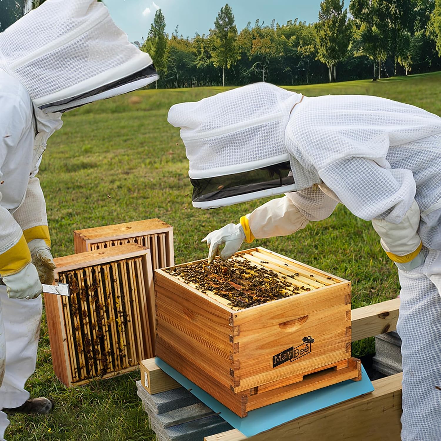 Beehive Starter Kit 8-Frame Be - Beehive Frame Wax review and price