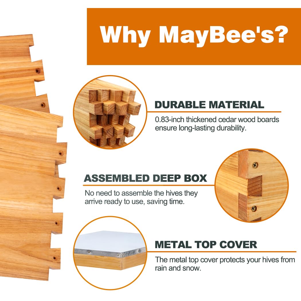 Beehive Starter Kit 8-Frame Be - Beehive Frame Wax review and price