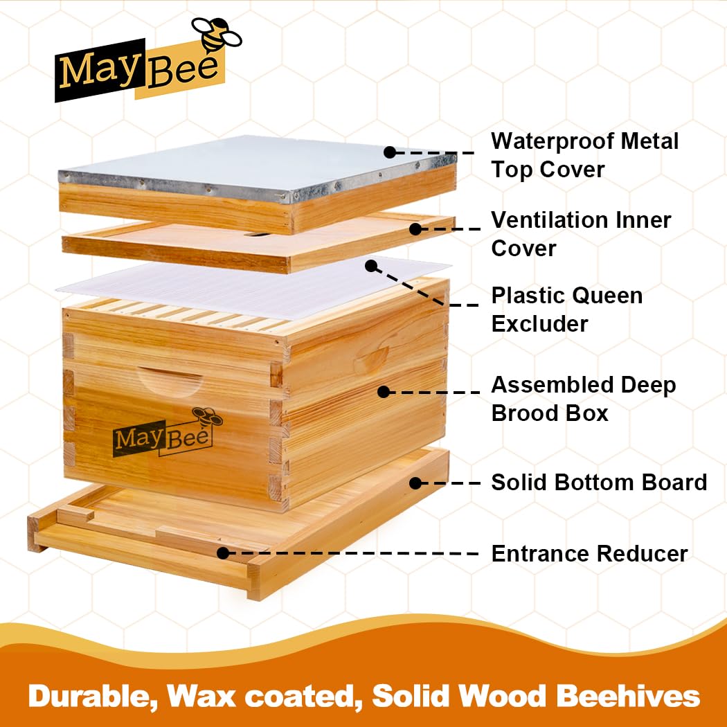 Beehive Starter Kit 8-Frame Be - Beehive Frame Wax review and price